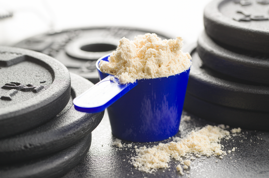 Hidden Ingredients in Protein Powder